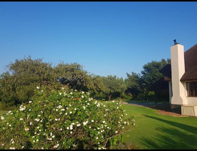 FARM FOR SALE IN MNANDI